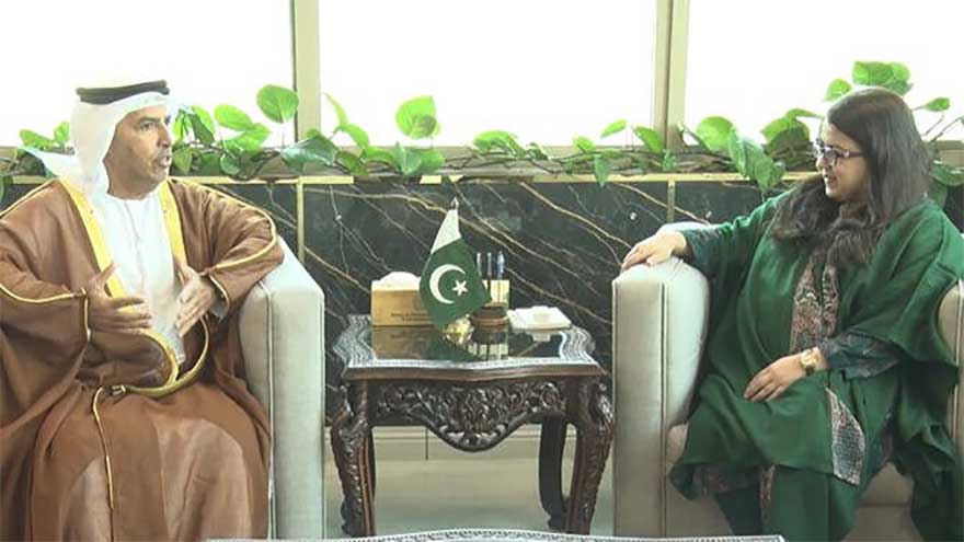 Pakistan, UAE discuss matters of information, communication technologies