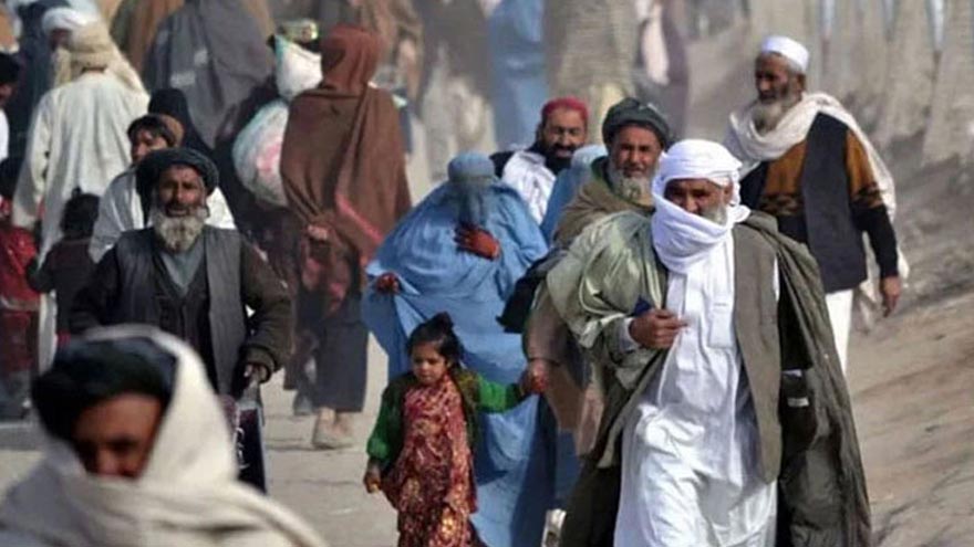 Crackdown on illegal foreign residents in Punjab, over 31,000 deported