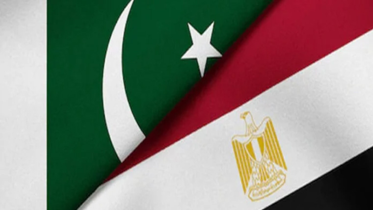 پاکستان اور مصر کی اقتصادی شراکت داری میں نئی پیش رفت