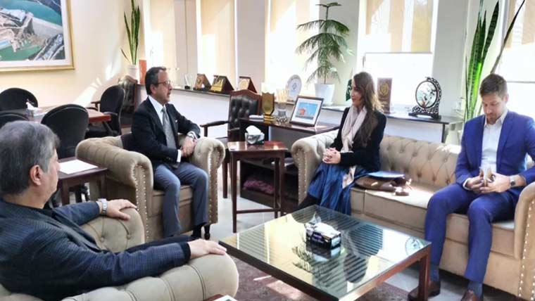 وفاقی وزیر توانائی اویس لغاری سے امریکہ قائم مقام سفیر کی ملاقات، باہمی اُمور پرتبادلہ خیال