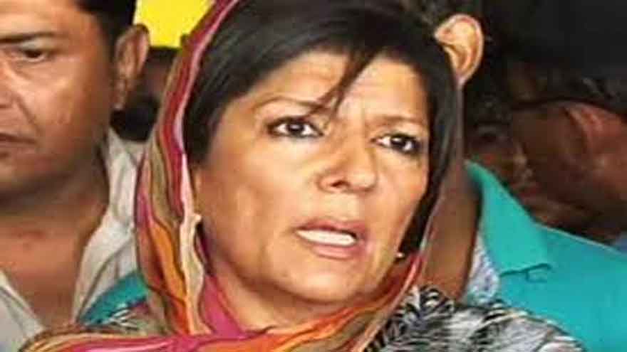 Aleema Khan stages sit-in as police block PTI leaders' sisters