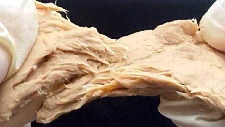 چینی سائنسدانوں نے مرغی کے متبادل پروٹین سے بھرپور گوشت تیار کرلیا