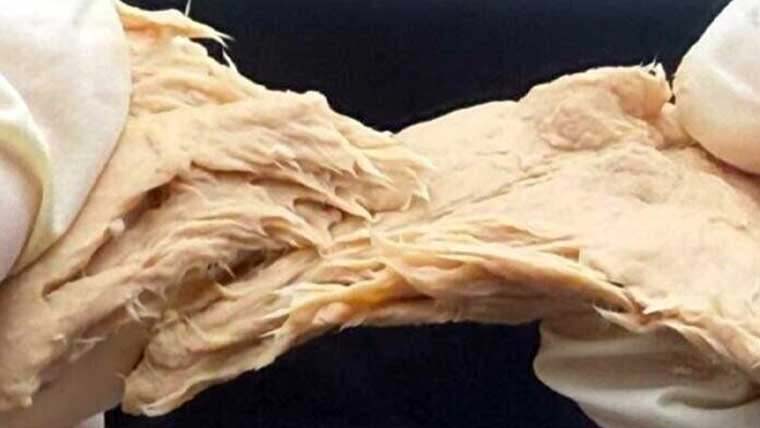 چینی سائنسدانوں نے مرغی کے متبادل پروٹین سے بھرپور گوشت تیار کرلیا