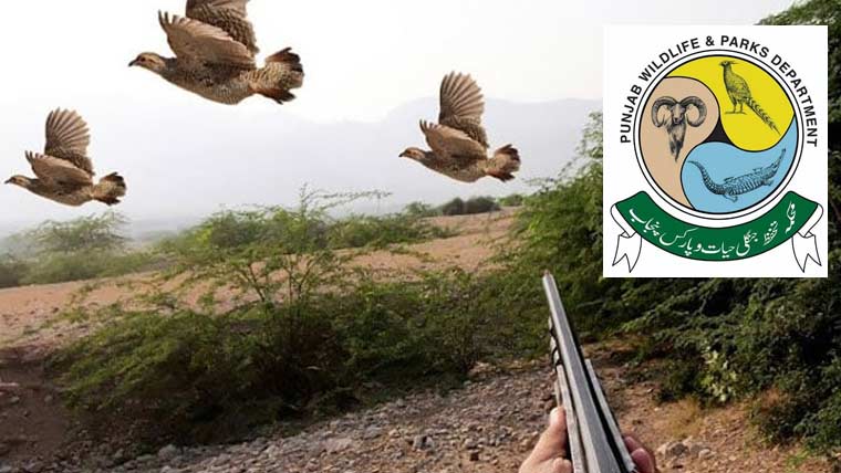 غیر قانونی شکار کی روک تھام کیلئے پہلی بار وسل بلوور مہم کا آغاز