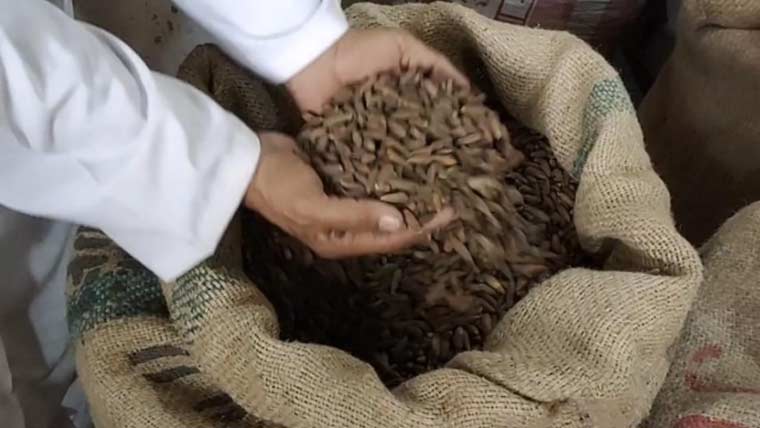 گوجرانوالہ میں چور ساڑھے 38 لاکھ روپے مالیت کے چلغوزے لے اڑے