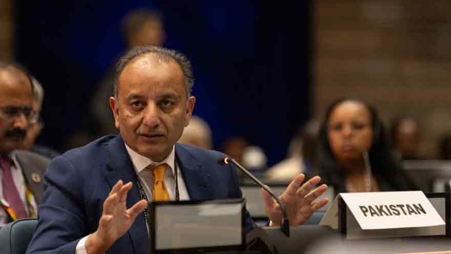 Musadik Malik urges equitable climate finance for vulnerable nations