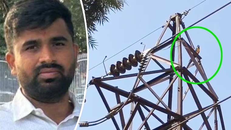لاکھوں روپے کے طوطے کو بچاتے ہوئے مالک کرنٹ لگنے سے ہلاک