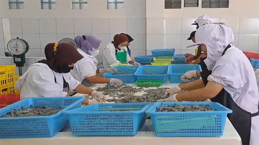 Punjab to develop tech-driven shrimp estates with Saudi, UAE support