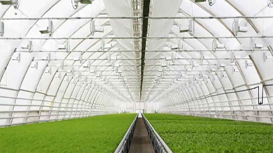 Balochistan approves hydroponics project, rollout planned in 10 districts