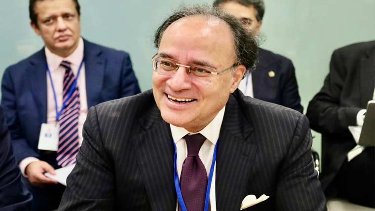 پاکستان برکس میں شامل ہوکر مثبت اور تعمیری کردار ادا چاہتا ہے: وزیر خزانہ