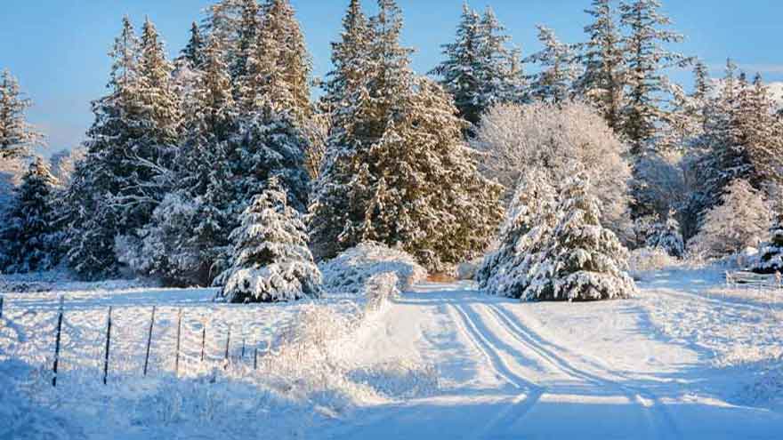 Climate researchers warn winters shrinking worldwide over coming decades