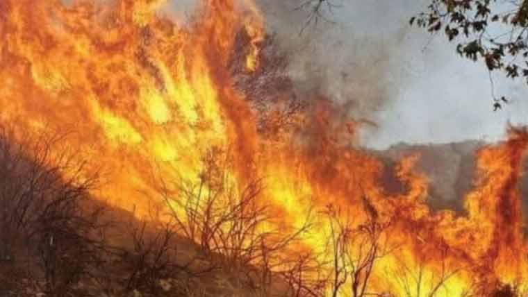 ہزارہ ڈویژن کے گھنے جنگلات میں شدید آگ بھڑک اٹھی، متعدد علاقوں کو لپیٹ میں لے لیا