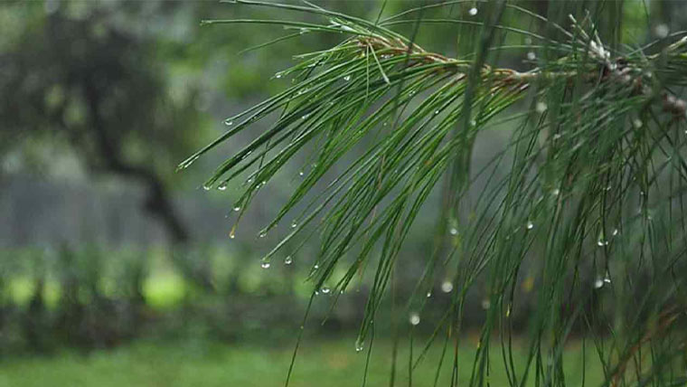 لاہور کے مختلف علاقوں میں بوندا باندی، سردی کی شدت میں اضافہ