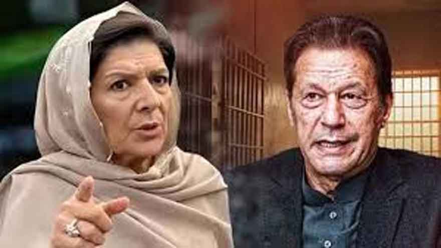 Aleema Khan questions Toshakhana verdict outside Rawalpindi ATC