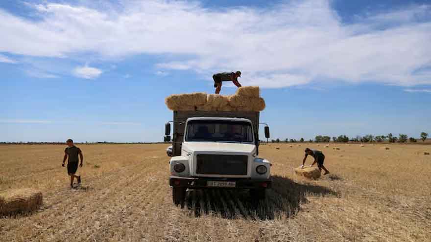 Russian attacks on Ukrainian ports cause drop in food exports