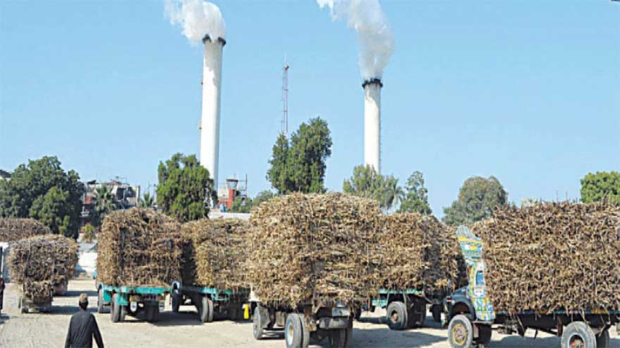 Punjab records higher sugar recovery as crushing season gains pace
