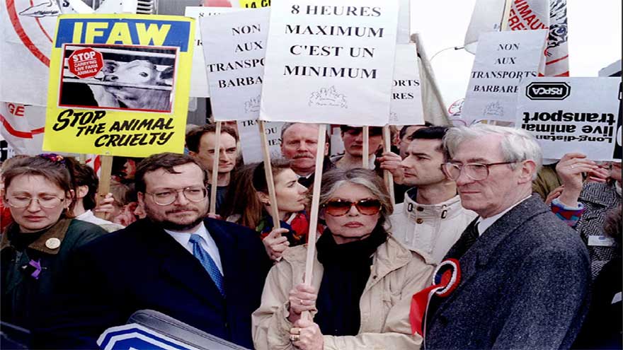 Brigitte Bardot, icon of French cinema, dies at 91