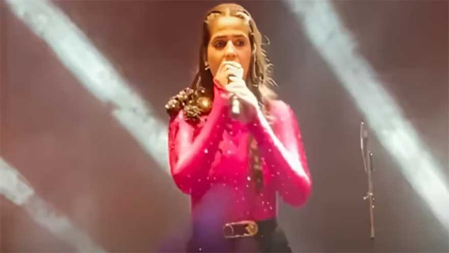 Singer Pranjal Dahiya interrupted by misbehaving fans during live show