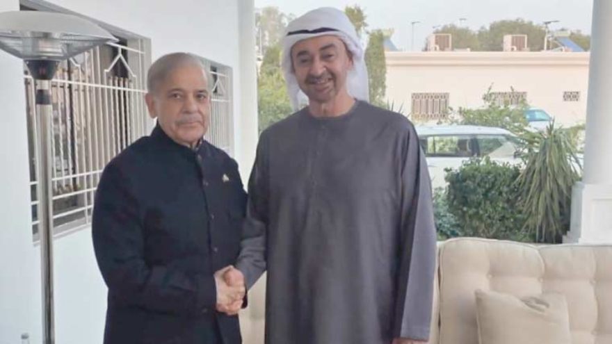 PM Shehbaz meets UAE President in Rahim Yar Khan
