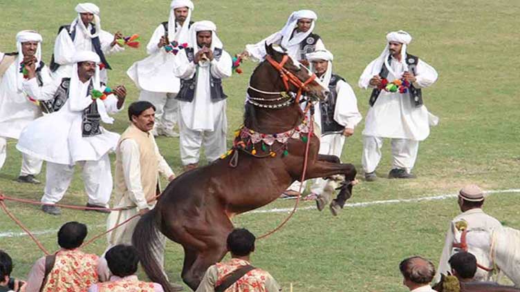 Lahore to have full-fledged Horse and Cattle Show 2025 from Feb 10