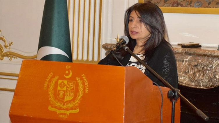 Kashmir Solidarity Day observed at Pakistan embassy in Paris