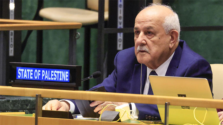 Leaders 'should respect' wishes of Palestinians to stay in Gaza: Palestinian UN envoy