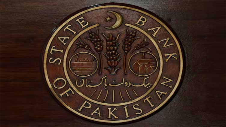 Fitch says Pakistan faces big external financing risks despite economic progress
