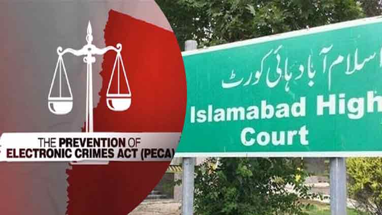 Senior anchors challenge PECA 2025 in IHC