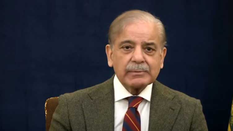 Govt prioritising governance reforms to combat climate change: PM Shehbaz