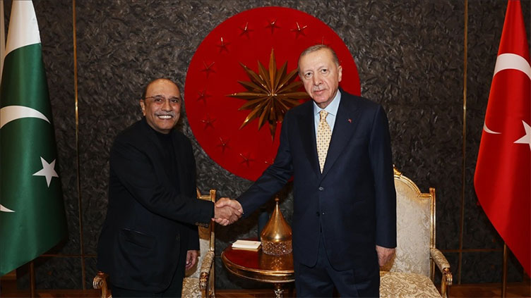 President Zardari meets Turkish counterpart in Istanbul