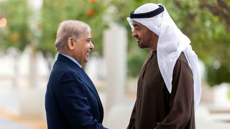 PM Shehbaz, UAE president discuss ways to deepen cooperation in various fields