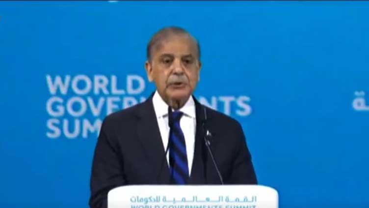 PM Shehbaz calls for Palestine resolution as key to lasting peace