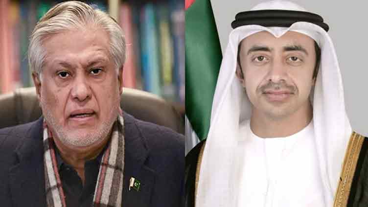 Pakistan, UAE express concerns over proposal to displace Palestinians from Gaza