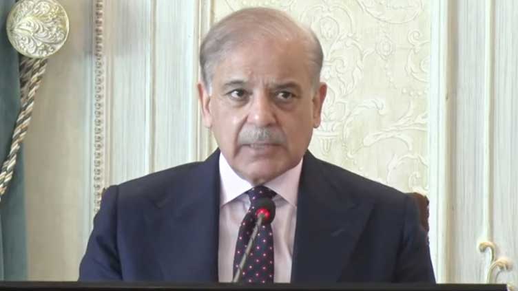 Barbarity, genocide in Palestine should stop: PM Shehbaz