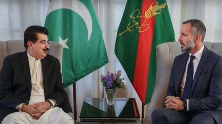 Sadiq Sanjrani meets Aga Khan V to condole Prince Karim's death