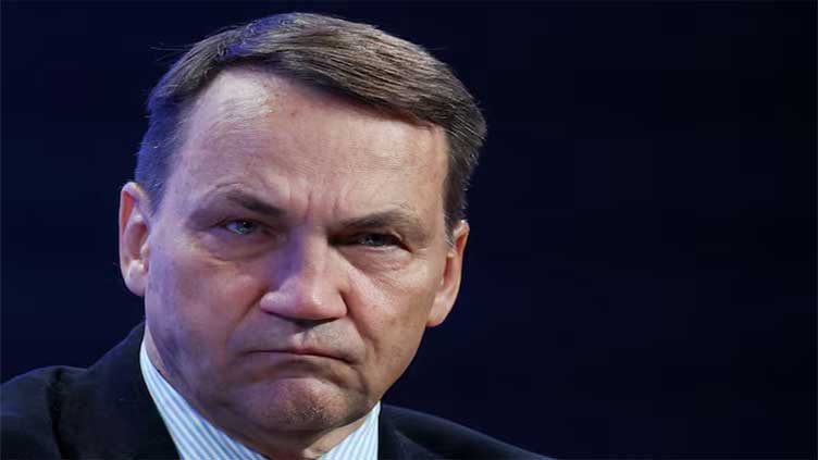 European countries will not create one united army, says Poland's Sikorski