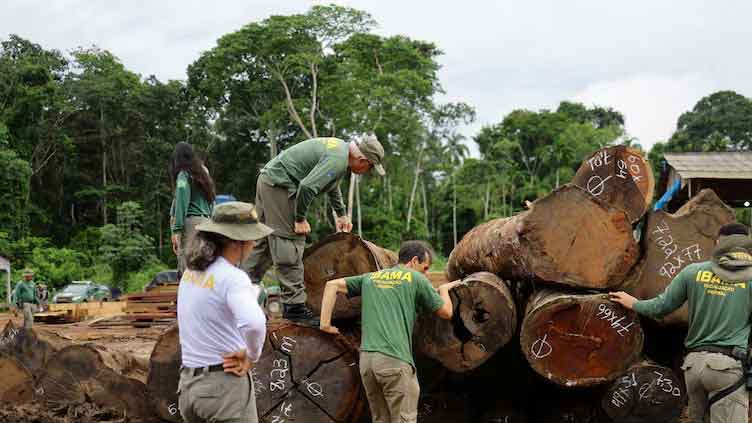 Brazil targets illegal logging in major Amazon raids