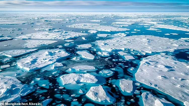 World's sea ice plunges to record low: scientists 