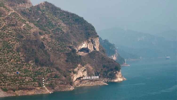 China's beautiful puppy mountain is internet's newest obsession