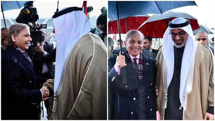 Abu Dhabi crown prince receives warm welcome in Islamabad