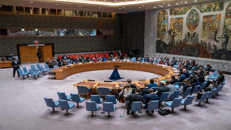 Pakistan begins two-year term as UN Security Council's non-permanent member