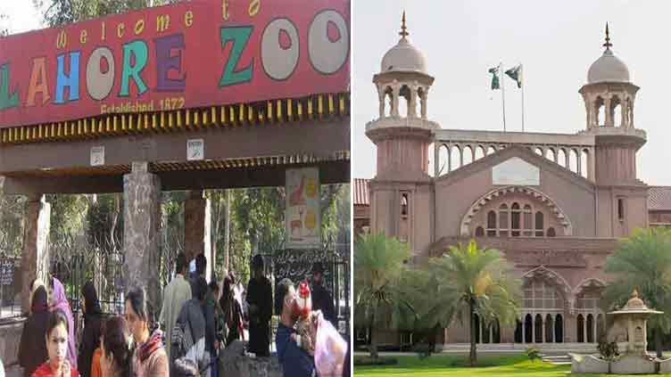 LHC moved against privatisation of Lahore Zoo