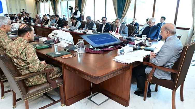 PM Shehbaz links political stability to economic development 