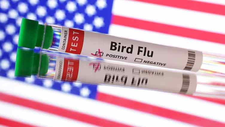 Louisiana reports first bird flu-related death in US