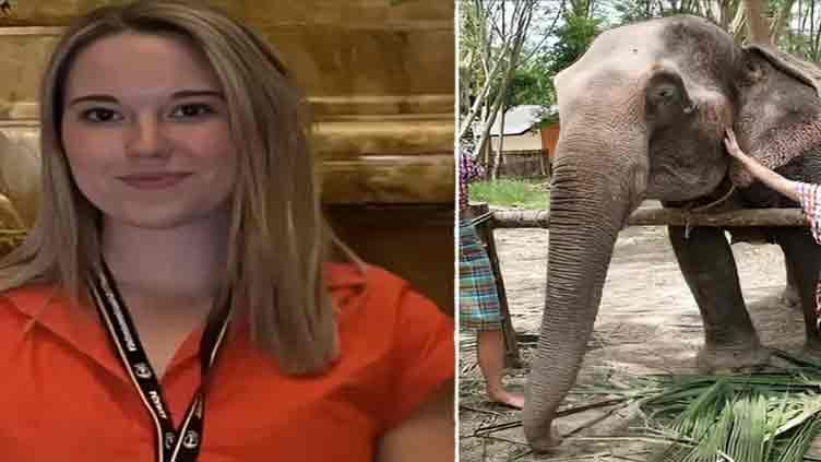 When woman tourist in Thailand zoo killed by stressed elephant 