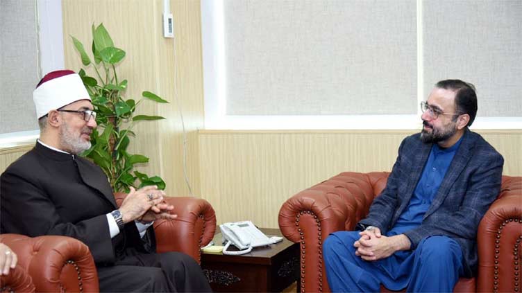 Pakistan, Egypt share historical and religious ties: Salik Hussain