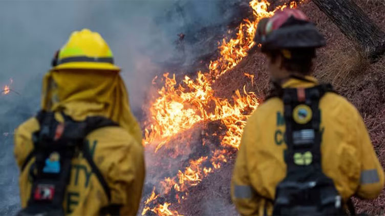 Looter dressed as firefighter to prey on LA fire victims: Police