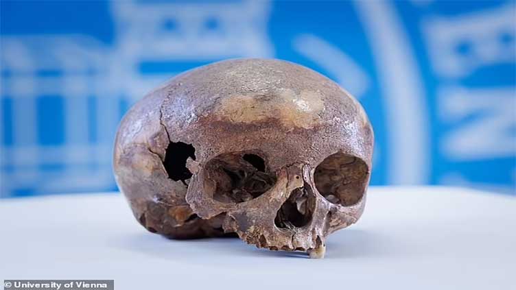 Scientists solve mystery of 'Cleopatra's sister' skull