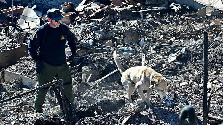 Search for bodies as LA firefighters brace for more wind