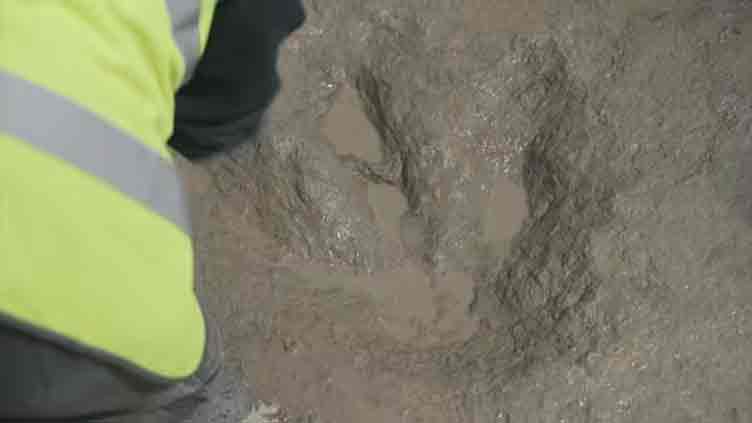 'Dinosaur highway' uncovered in England dating back 166 million years